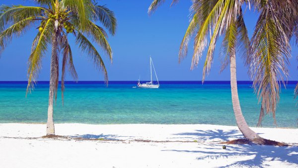 Куба пальмы море