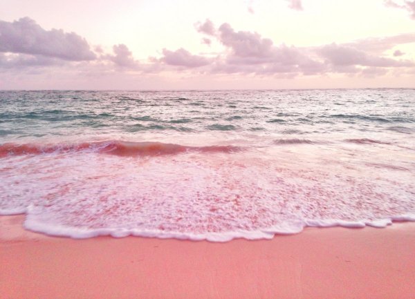 Розовое море фото