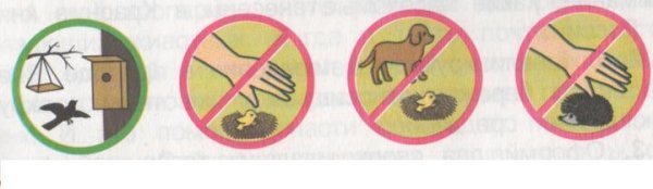 Охрана животных картинки