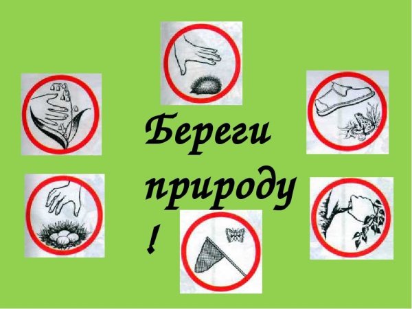 Экологический знак природы