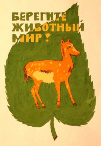 Плакат берегите животных