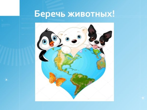 Берегите животных