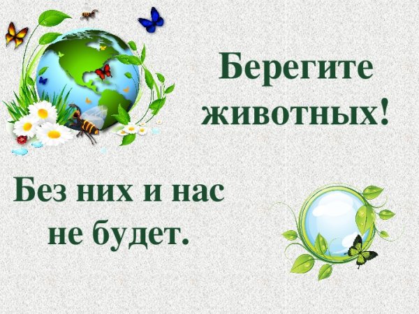 Надпись берегите животных