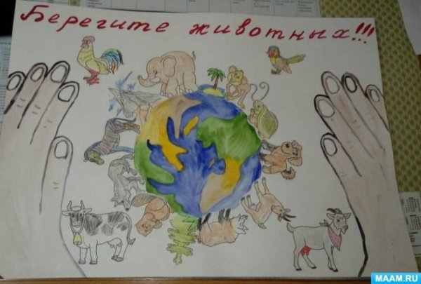 Плакат на тему защита животных