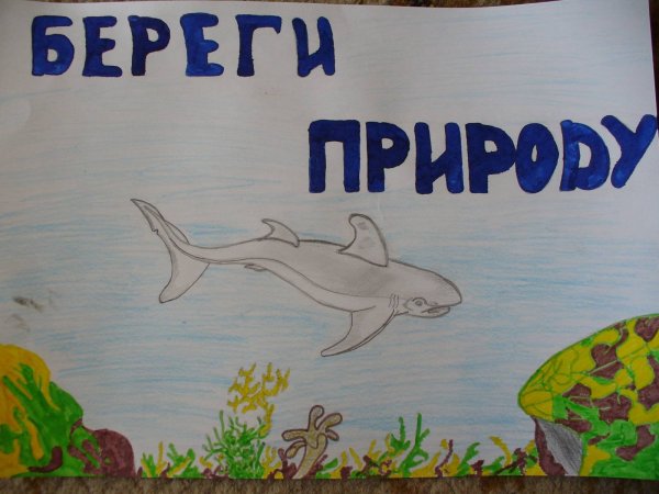 Плакат на свободную тему