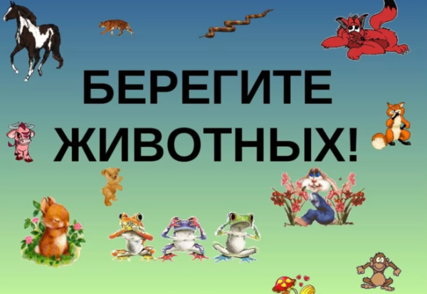 Надпись берегите животных