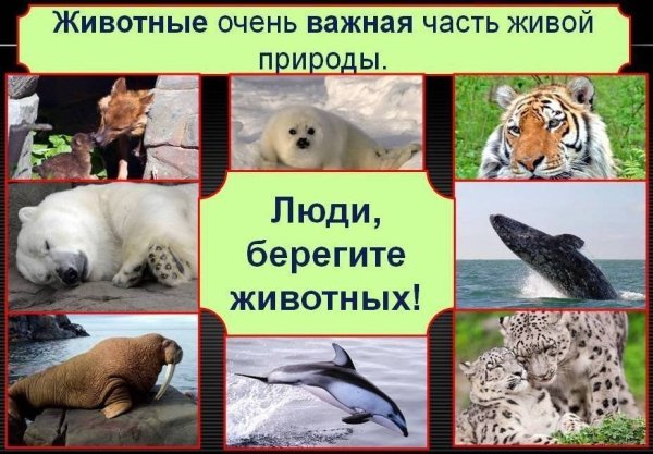 Надпись берегите животных