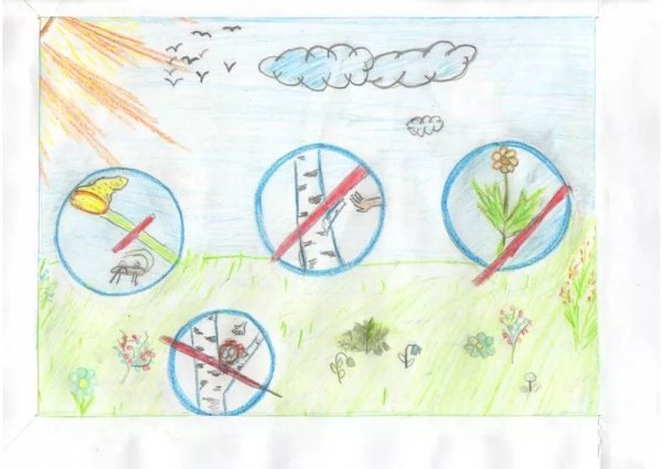 Рисунок на тему будь природе другом