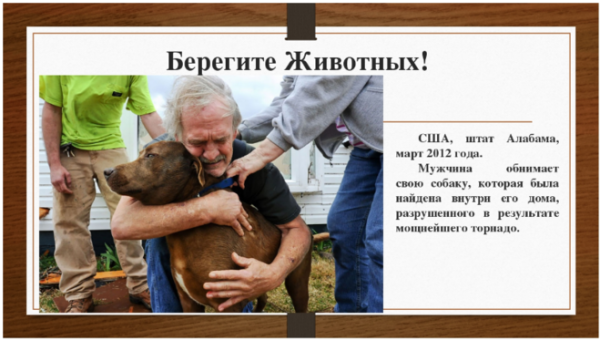 Берегите животных