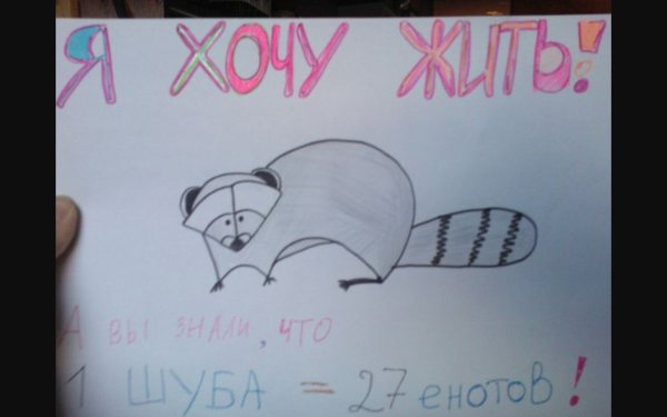 Плакат на свободную тему