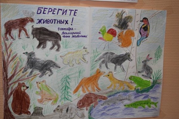 Нарисовать плакат берегите животных