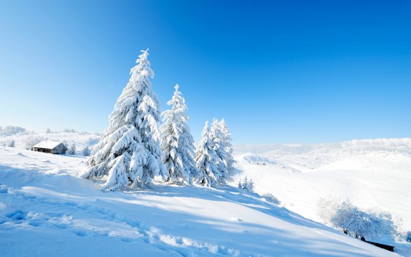 Зимняя природа