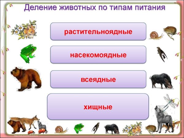 Растительноядные животные