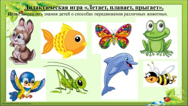 Дидактические игры для дошкольников