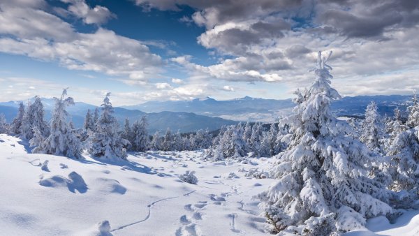 Красивое зимнее небо
