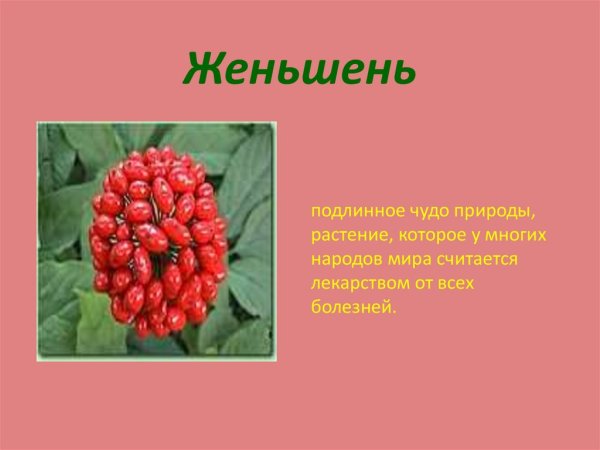 Растения красной книги России