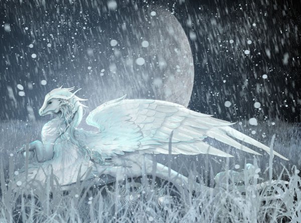 Снежный дракон