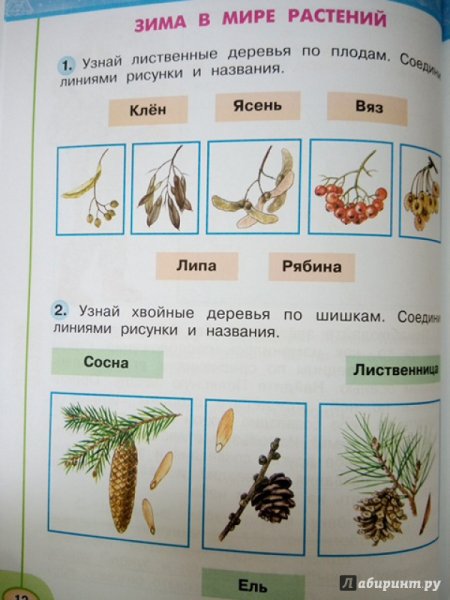 Окружающий мир название