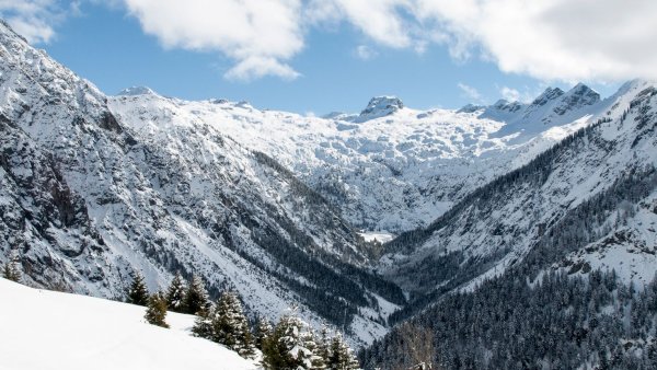 Обои на ТВ Снежная Долина