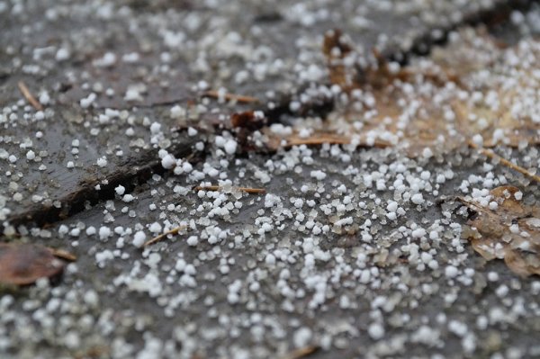 Мелкий град