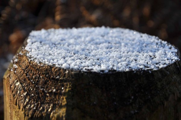 Снежные зерна