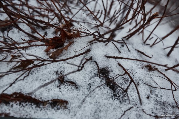 Весной валить Снежная крупа к чему