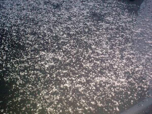 Снежная крупа