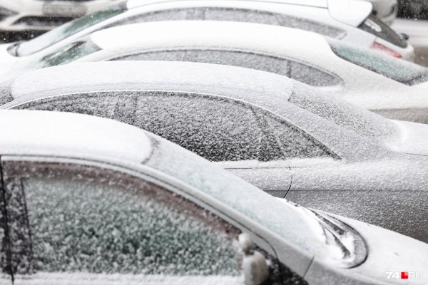 Окружающий мир крупа Снежная знак фото