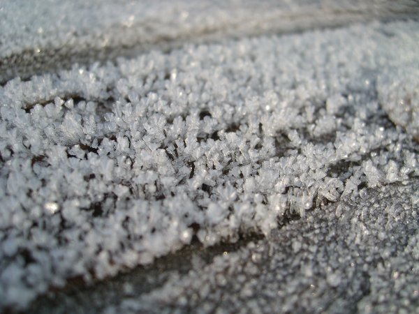 Инеевые цветы