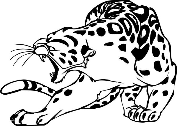 Леопард стилизация