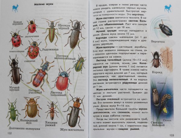 Атлас определитель жуки