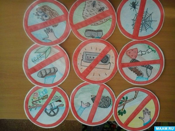 Экология для дошкольников подготовительной группы