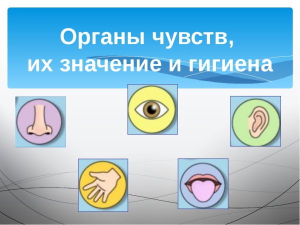 Гигиена органов чувств