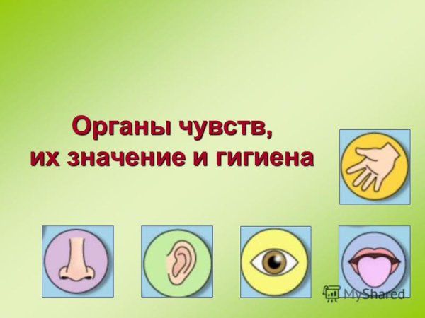 Знаки гигиены органов чувств