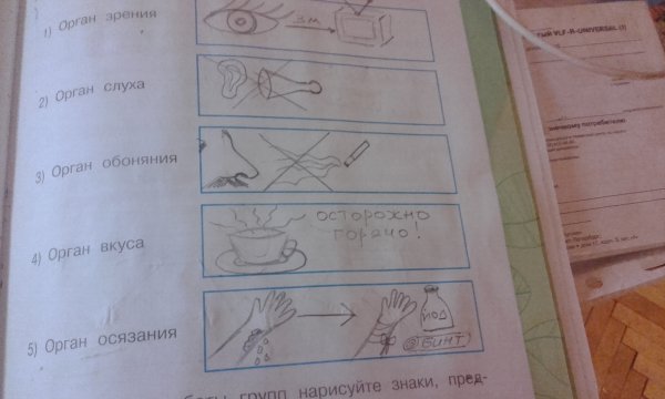 Условные знаки органов чувств