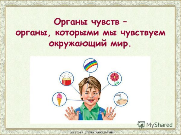Окружающий мир органы чувств