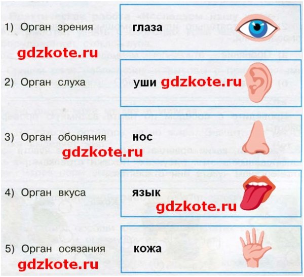 Условные знаки гигиены органов чувств