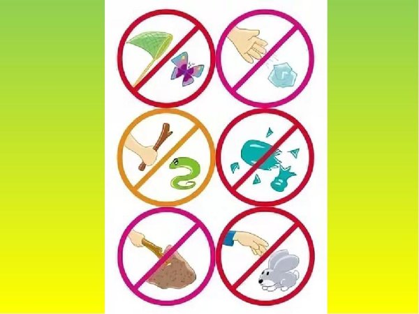 Штонельзяделать в природе