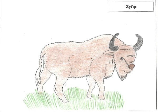 ЗУБР рисунок