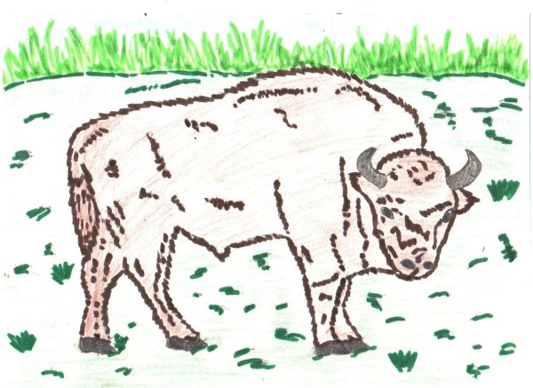 ЗУБР рисунок Контуртерм