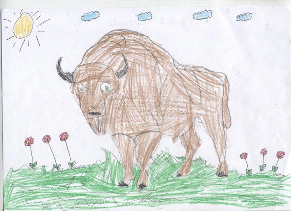 Название рисунка с зубром