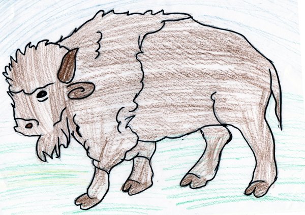 Рисование зубра