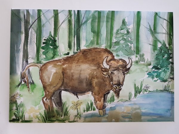 ЗУБР гуашью