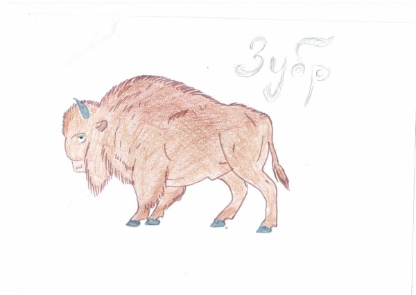 ЗУБР детский рисунок