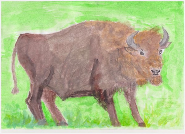 Горный ЗУБР Краснодарского края рисунок