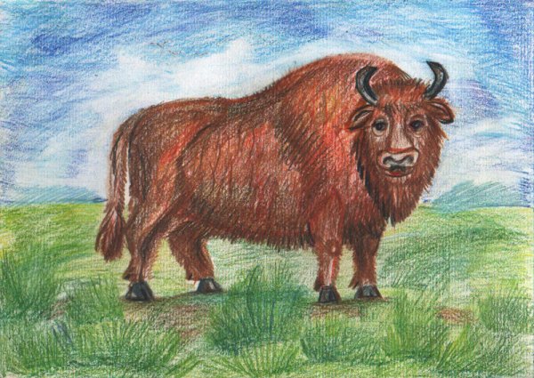 ЗУБР красная книга