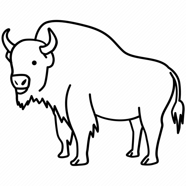 ЗУБР для раскрашивания детям