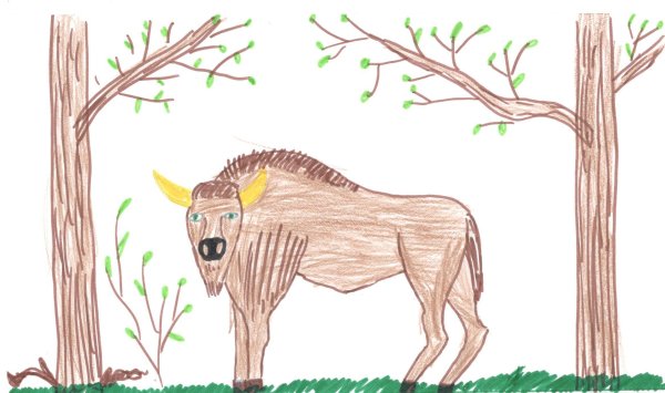 ЗУБР лес рисунок карандашом
