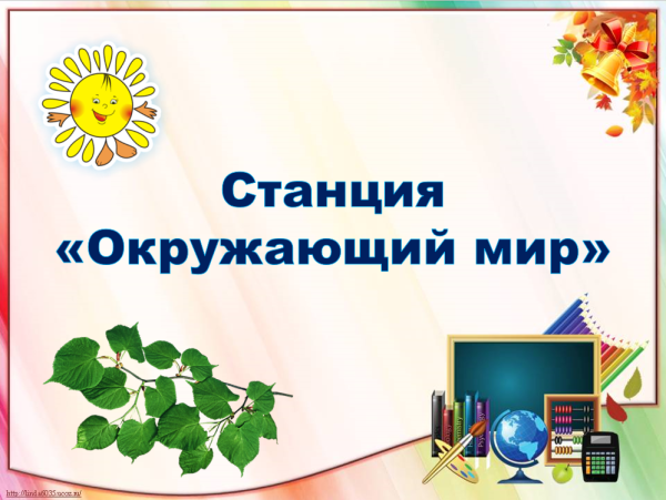 Станция окружающий мир