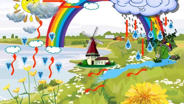 Круговорот воды в природе картинки для детей